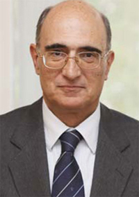 Excmo. Sr. D. Julián García Vargas